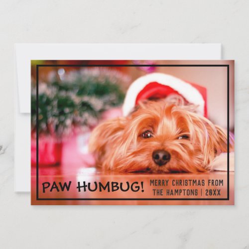 Dog Photo Paw Humbug Pet Christmas Holiday Card