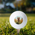 Dog photo pet golf balls<br><div class="desc">Personalize and add a photo of your dog or pet.</div>