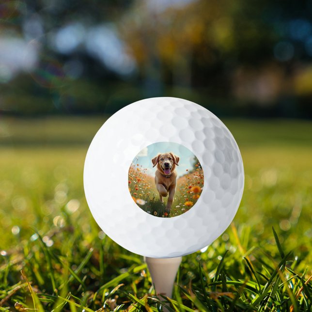 Dog photo pet golf balls (Creator Uploaded)