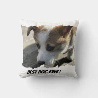 Dog Photo Pet Pillow