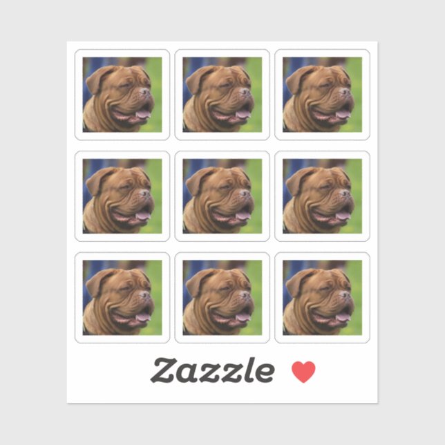 Dog Photo Portrait DIY Sticker (Sheet)
