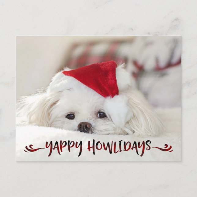 Dog Photo Red Buffalo Check Script YAPPY HOWLIDAYS Holiday Postcard (Front)