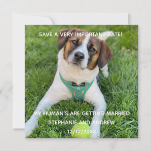 Dog Photo Save The Date Engagement Card