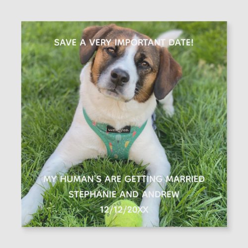 Dog Photo Save The Date Engagement  Card Magnet