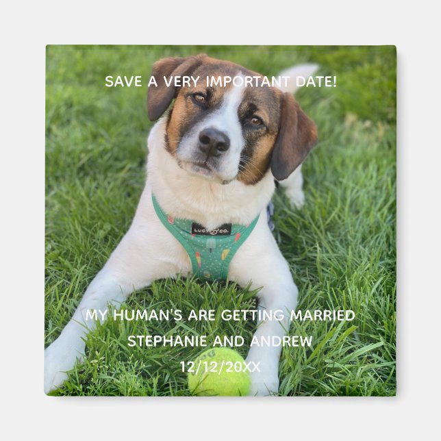 Dog Photo Save The Date Engagement  Card Magnet (Front)