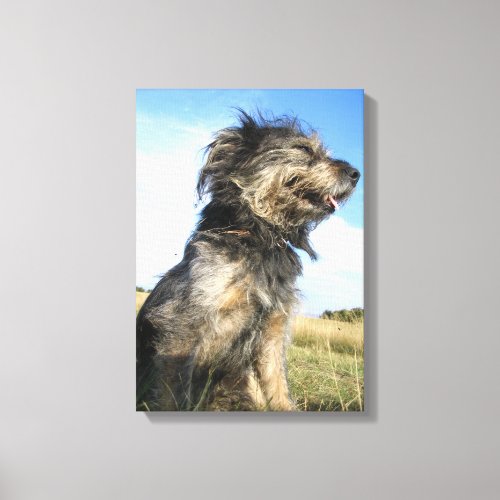 Dog Photo  Single Canvas Print