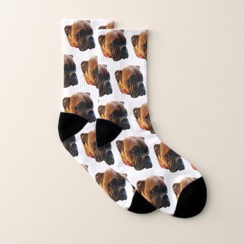 Dog Photo Socks