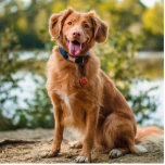 Dog Photo Statute Cutout<br><div class="desc">Photo Statute.  Dog or pet photo.</div>