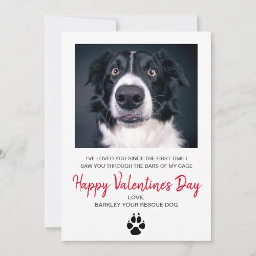 Dog Photo Valentines Day From The Dog Holiday Card