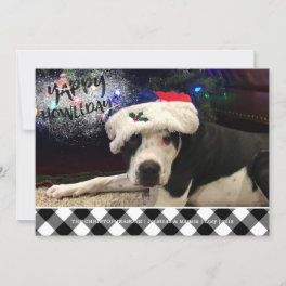 Dog Photo YAPPY HOWLIDAYS B&W Buffalo Check Holiday Card