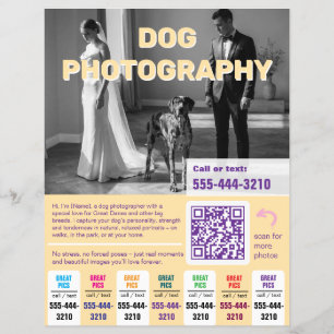 Dog Photographer Flyer colorful yellow