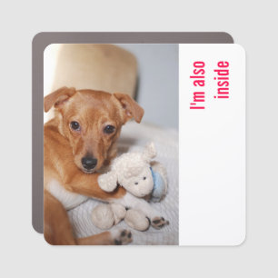 Dog Photography Car Magnet