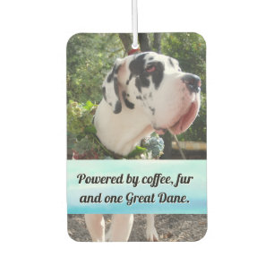Dog Photography personalized Air Freshener