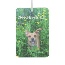 Dog Photography personalized Air Freshener
