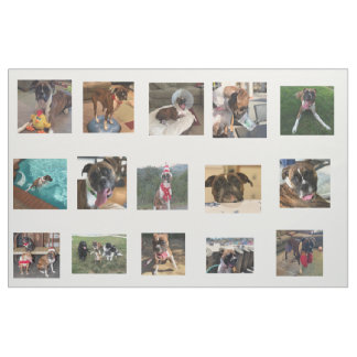 dog pics fabric