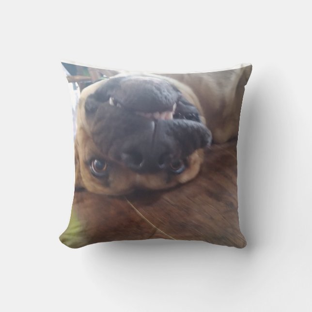 dog pillow (Front)