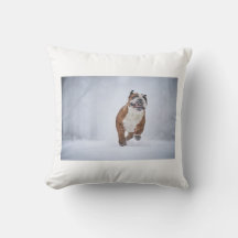 Dog Pillow
