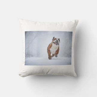 Dog Pillow
