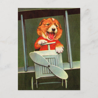 dog pilot postcard
