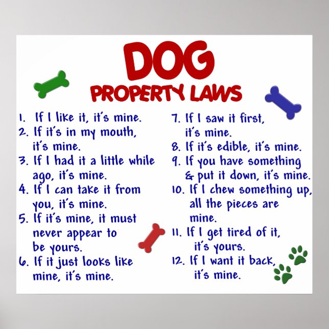 DOG PL2 POSTER (Front)