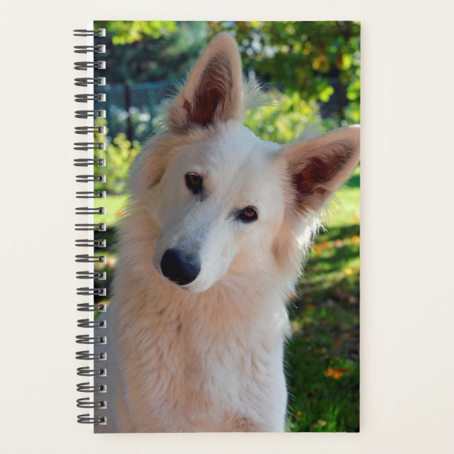 Dog Planner (Front)
