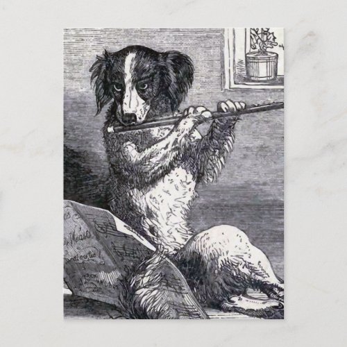 Dog Playing the Flute Vintage Illustration Postcard