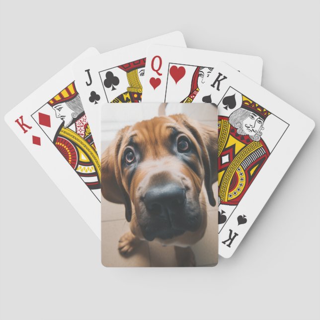 Dog Poker Cards (Back)