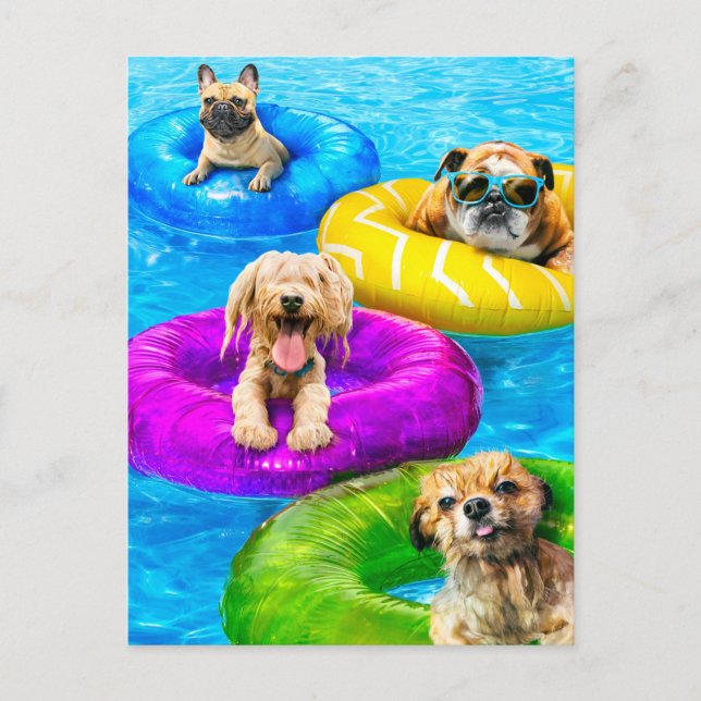 Dog Pool Party Invitation Postcard (Front)