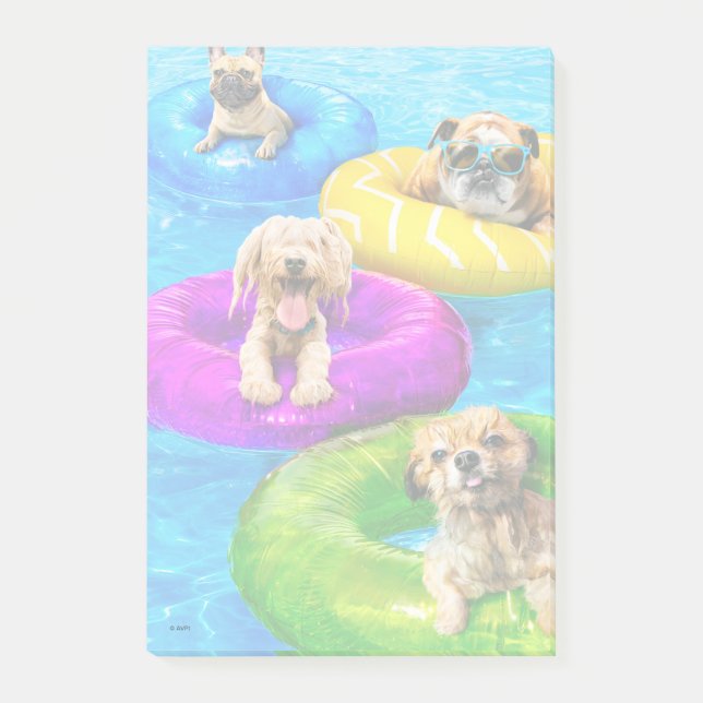 Dog Pool Party Post-it Notes (Front)