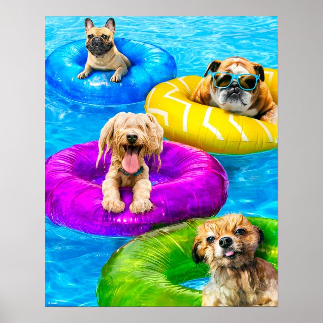 Dog Pool Party Poster (Front)