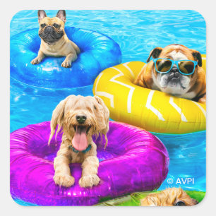 Dog Pool Party Square Sticker