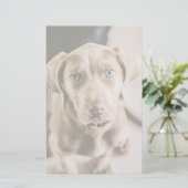 Dog portrait (Standing Front)
