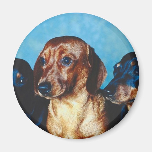 Dog Portrait Magnet (Front)