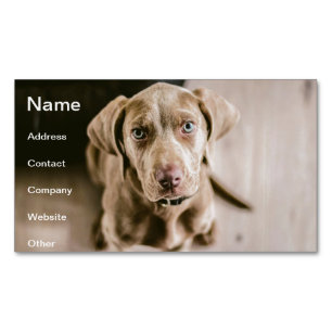 Dog portrait magnetic business card
