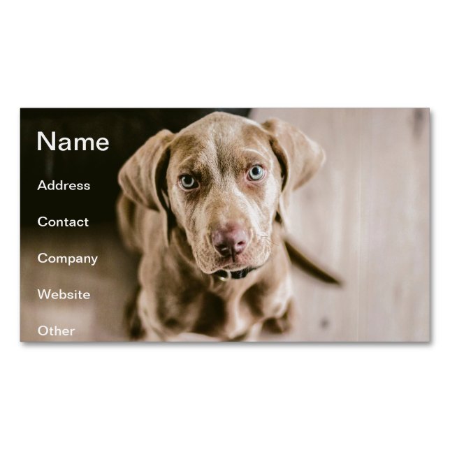 Dog portrait magnetic business card (Front)