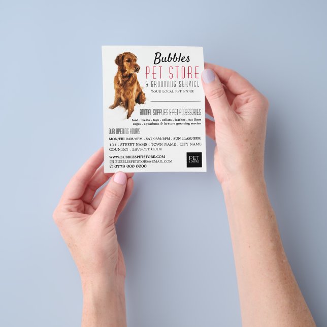 Dog Portrait, Pet Store Groomers Advertising Flyer Zazzle