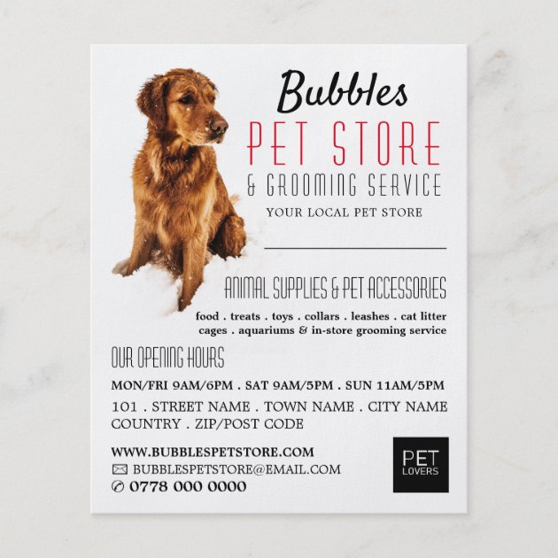 Dog Portrait Pet Store Groomers Advertising Flyer Zazzle