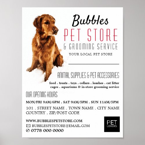 Dog Portrait Pet Store  Groomers Advertising Poster