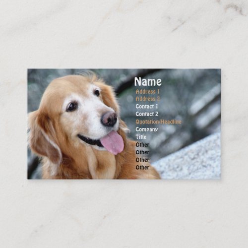Dog PortraitSmiling Golden Retriever Photography Business Card