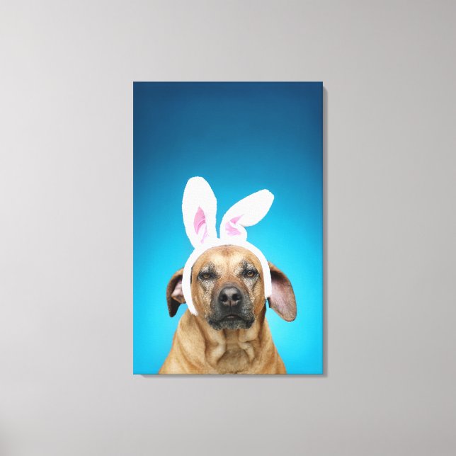Dog portrait wearing Easter bunny ears Canvas Print (Front)