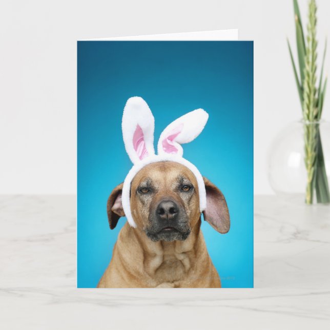 Dog portrait wearing Easter bunny ears Holiday Card (Front)