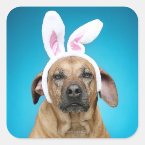 Dog portrait wearing Easter bunny ears Square Sticker