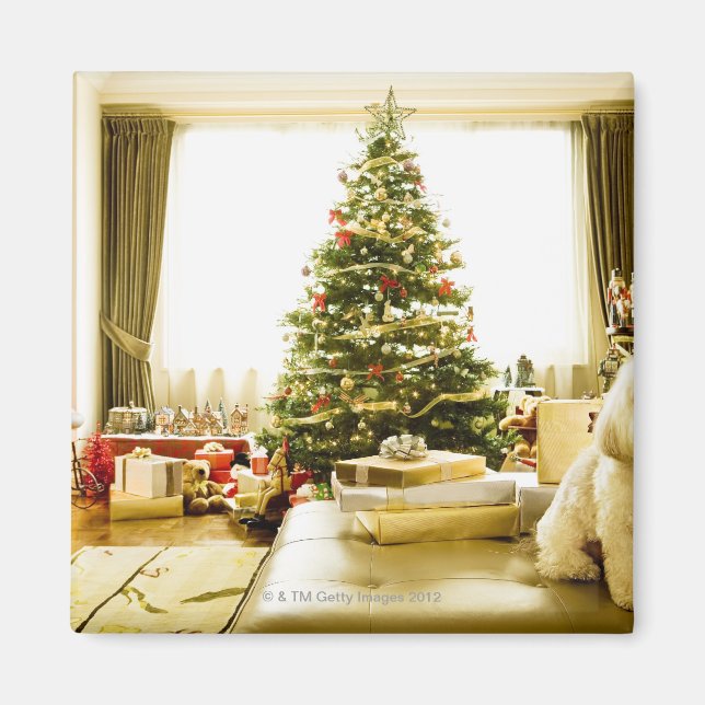 dog posing in front of Christmas tree Magnet (Front)
