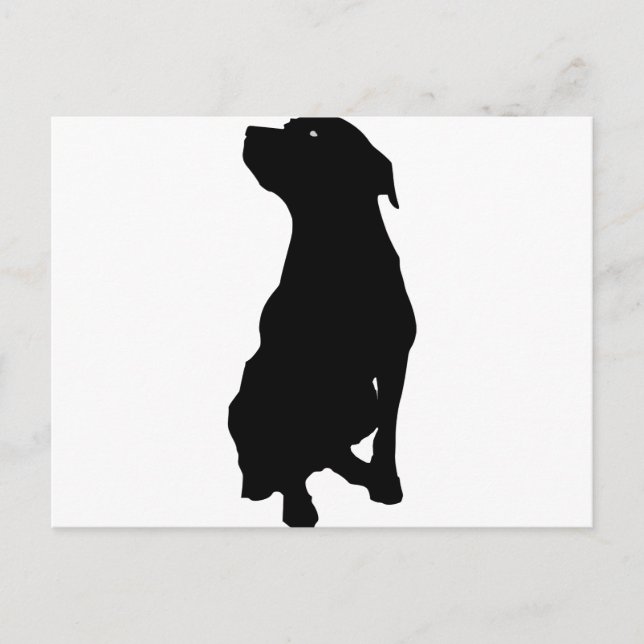 Dog Postcard (Front)