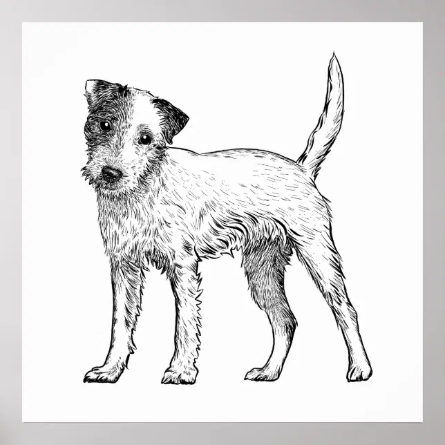 Dog Poster / Wall Art Jack Russell Terrier | Zazzle