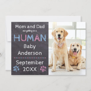 Dog Pregnancy Announcement