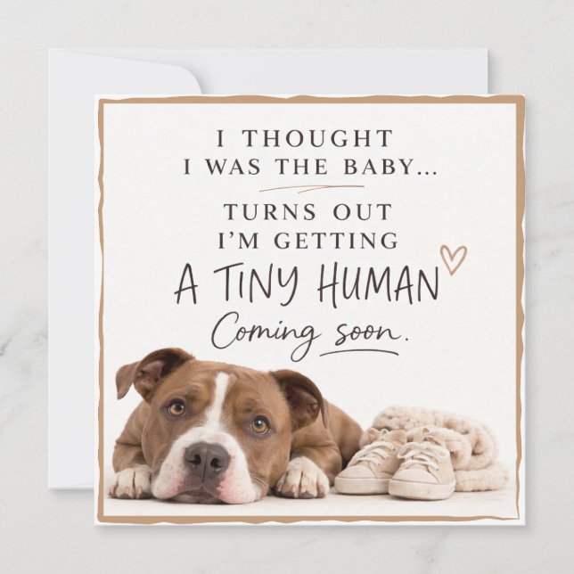 Dog Pregnancy Announcement Card (Front)