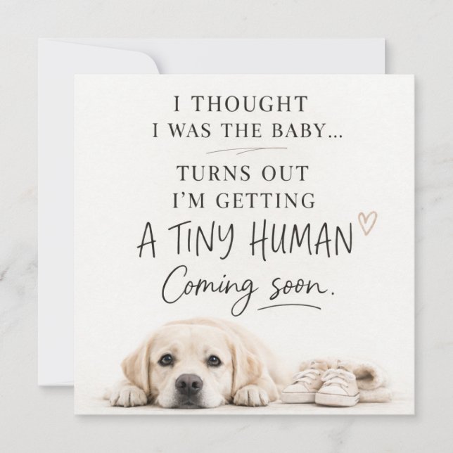 Dog Pregnancy Announcement Card (Front)