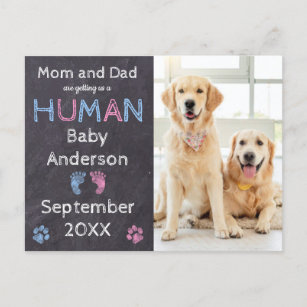 Dog Pregnancy Announcement Postcard