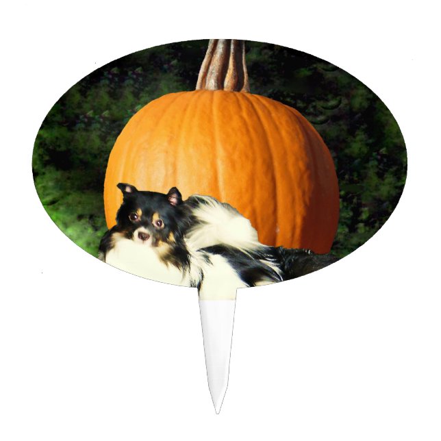Dog Protecting Large Pumpkin Cake Topper (Front)
